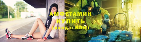 молекула духа Арсеньев