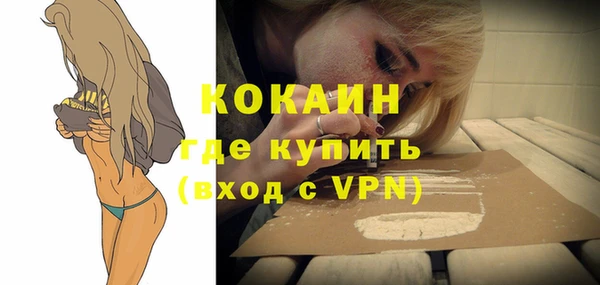 индика Баксан