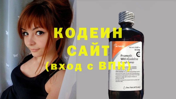 индика Баксан