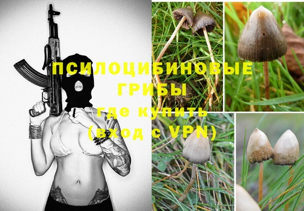 тгк Армянск