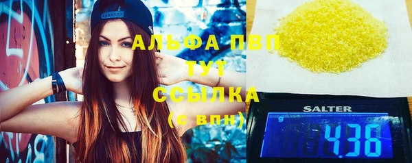 индика Баксан
